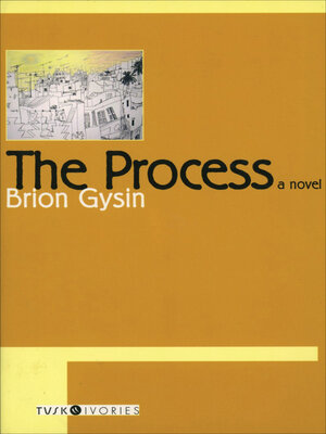 cover image of The Process